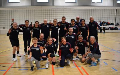 Die SWR- Schwarzwaldelche beim ARD/ZDF-Volleyball-Turnier in Leipzig